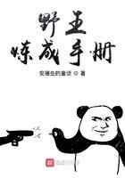 野王炼成手册