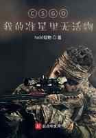 CSGO:我的准星里无活物