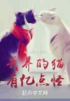 我养的猫,有亿点怪
