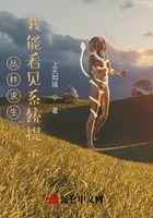 丛林求生:我能看见系统提示