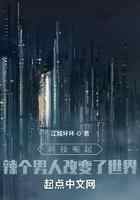 科技崛起:辣个男人改变了世界