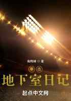 拳击:地下室日记
