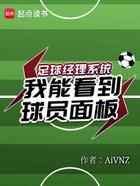 足球经理系统:我能看到球员面板