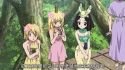 石纪元 第四季 附前三季+OVA1