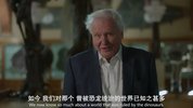 【纪录片】史前星球 1-2季