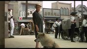 忠犬八公物语 1080p remux (1987)