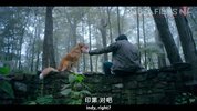 SW-113 好狗狗【中英文字幕】翻译微博@守望电影