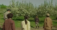 奇迹的苹果 (2013) 中文字幕 1080P [高清收藏版]